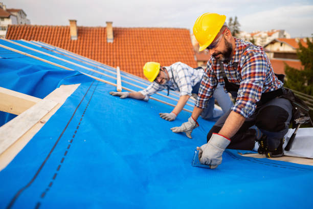 Best Metal Roofing Contractor  in Eagle Butte, SD